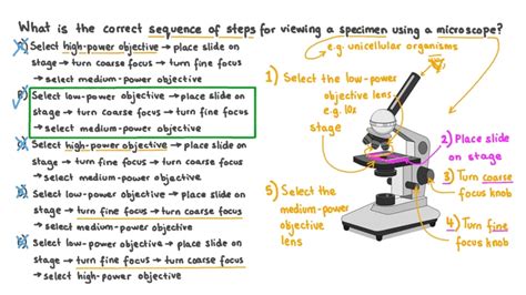 hpo magnification|What Is High Power in Microscopes: An Overview of .
